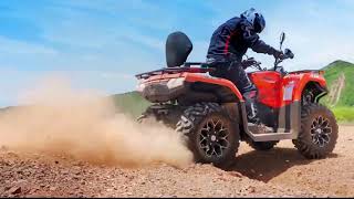 High Performance Affordable 4 Wheel Adult Bike