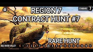 Perfect Kill Streak! 🦌🎯 | Region 7 Contract Hunt | Deer Hunter Classic PART 7