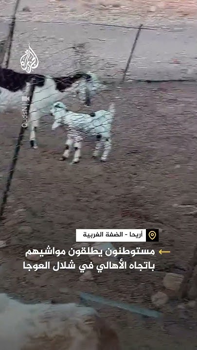             
 - نشر قبل 15 دقيقة