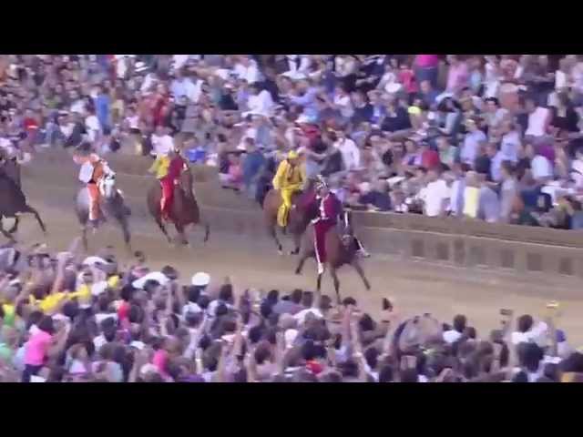 Palio 16 agosto 2014