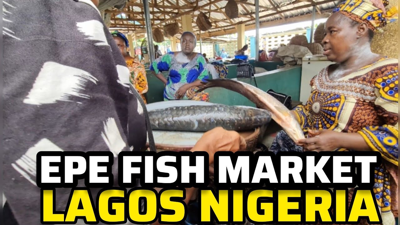 A Tour To Epe Fish Market Lagos Bush Meat Sea Food WATCH SHARE a-tour-to-epe-fish-market-lagos-bush-meat-sea-food-watch-share
