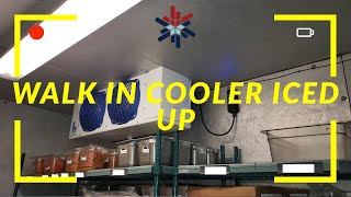 WALK IN COOLER ICED UP