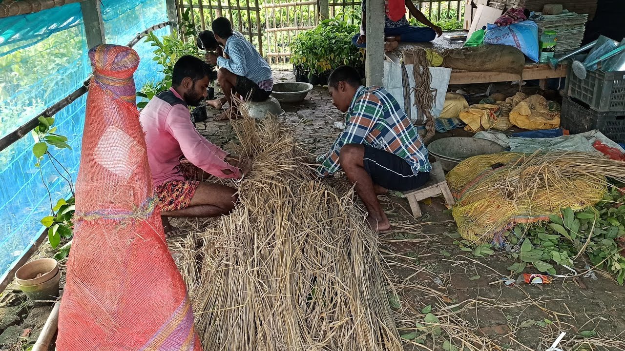 Home garden plants online delivery YouTube