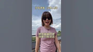 护花使者 小黄人版 来了 这个版本适合配你们家哈基米 粤语 护花使者 粤语歌 