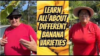 Different Banana Varieties