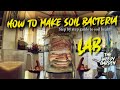 How to make soil bacteria  step by step guide