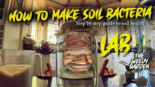 HOW TO MAKE SOIL BACTERIA  Step by Step Guide