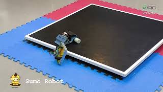 Information Sumo Robot WRGTH2026 Update