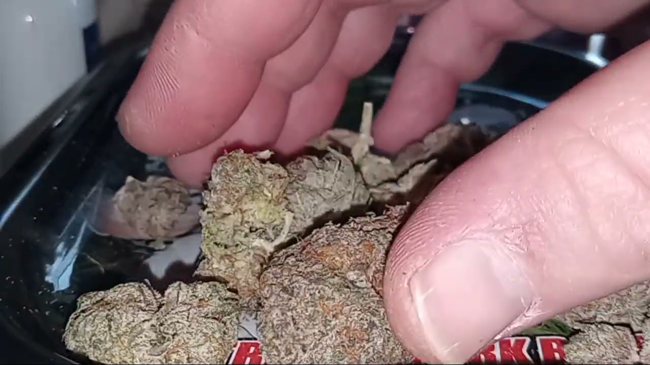 good green black afghan review 🔥