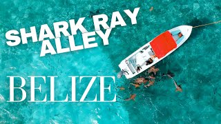 SHARK RAY ALLEY (Belize Barrier Reef snorkel trip is UNBELIZABLE!)
