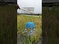Amazing Fishing Idea By Hook - 16 #fishing #nature #shorts