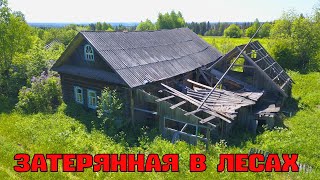видео: Старинная заброшенная деревня Медведи. Кировская область.  Покинутый мир Вятки. картинка: Старинная заброшенная деревня Медведи. Кировская область.  Покинутый мир Вятки.