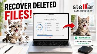 Deleted Files on Mac Here’s How to Recover Them