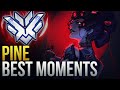 PINE BEST MOMENTS - GODLY DPS  - Overwatch Montage