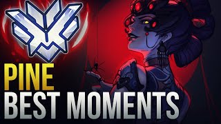 PINE BEST MOMENTS - GODLY DPS  - Overwatch Montage