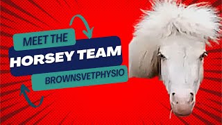 Meet the horse team at Browns Vet Physio