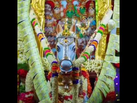 Pannaikadu sri hari bajanai madalaya ramar kovil rama navami yurchva ...