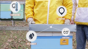 BeeWeb IoT device