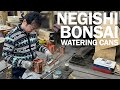 Bonsai Watering Cans - A Visit to Negishi Industry Co. in Japan