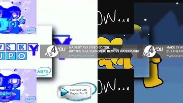 82 Shuric Scans With Are Slides