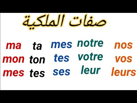 Les adjectifs possessifs : صفات الملكية