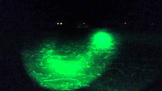 Led lenser T7 Green vs ArmyTek Green