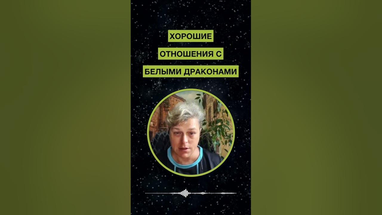 Черные и белые Драконы. Мария Шлоен #shorts - YouTube