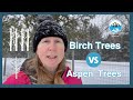 Birch Trees Vs Aspen Trees | Amanda Oldfield | eXp Realty #100milehouse Mp3 Song