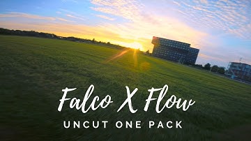 NEW APEX HD DJI BUILD 👽🔥 | Uncut FPV FreeStyle | FalcoX | ImpulseRC Apex | DJI FPV