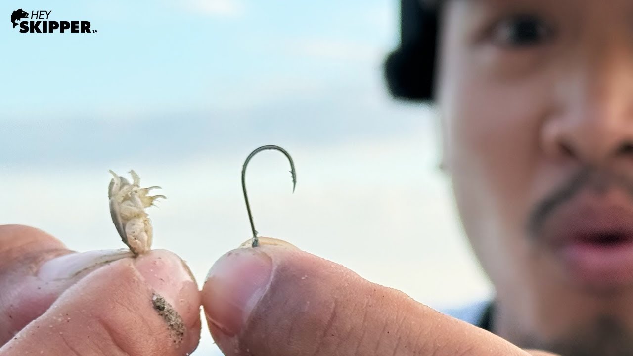 Самые маленькие приманки, которые я когда-либо использовал! Рыбалка на пляже в Калифорнии