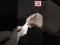 Video Image