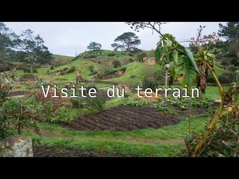 Visite de mon terrain pour un jardin en permaculture - néo-autonomiste #2