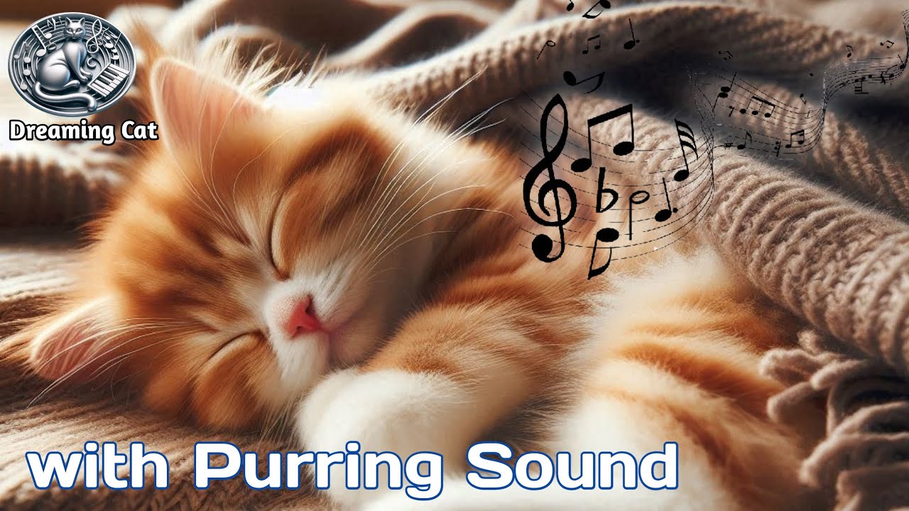 View of 12 Hours Cat Healing Music with purring sounds - Peaceful Piano Music ...