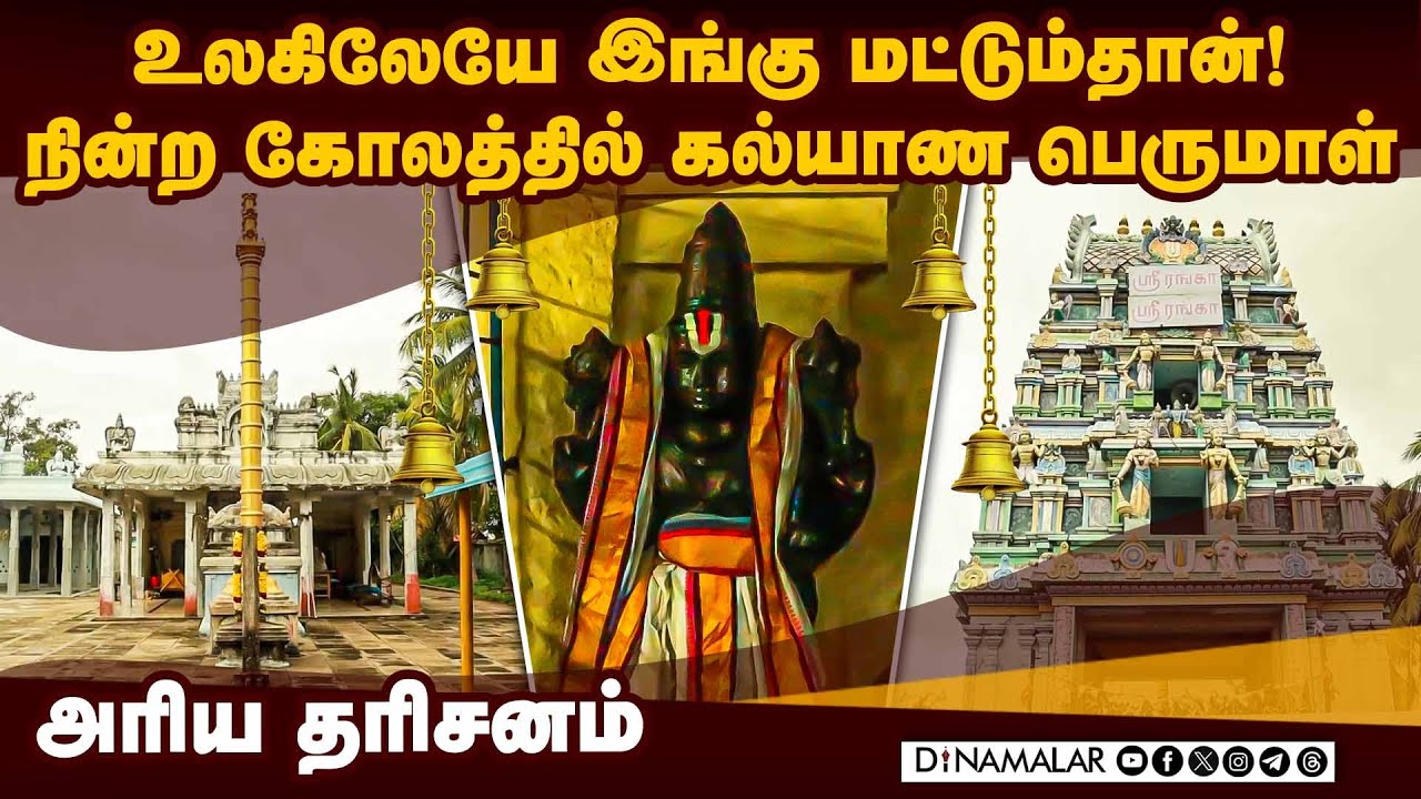 5 நாளில் திருமணம் நிச்சயம் ஆகும் ! எலுமிச்சையால் நடக்கும அதிசயம் | Perumaltemple | kalyanaperumal