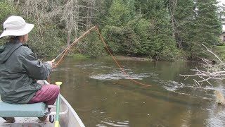 Fishing the South Branch Au Sable River in Michigan