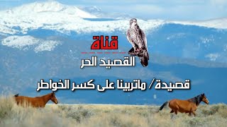 قصيدة : ماتربينا على كسر الخواطر #شعر#قصيد#قناة_القصيد_الحر