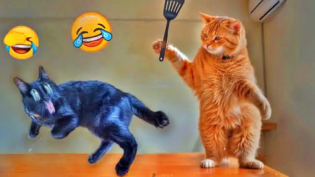 You Laugh You Lose😁Funniest Dogs and Cats 2026😬🐶