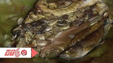 Cà nạp cá suối: Đặc sản của người  Thái | VTC