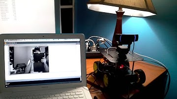 Face detection robot