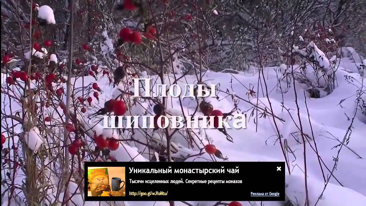 Народные методы лечения атрофического гастрита