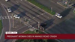Pregnant woman killed, 1 other injured in Hillsborough County crash