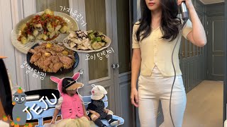 [일상 브이로그] 요트 단독 투어, 쫀득한 찹쌀 찜닭, 라이스페이퍼 가지튀김 만들기, 즐거운 제주 여행, 청귤 따기