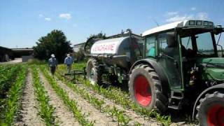 Immagine 2094.avi