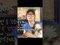 捨てられても帰りを信じた犬　7か月間、同じ場所を離れなかった#shorts #動物解説 #犬