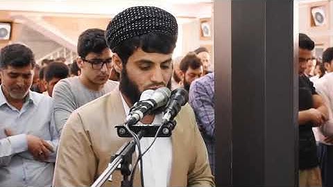 رعد  محمد الکردي ,, قراءة ما تيسر من {سورة  المنافقون + سورة التين} قضاء رانية   جامع ”الفردوس”