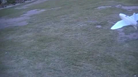 Lippisch p 13a glide test 9 09 3