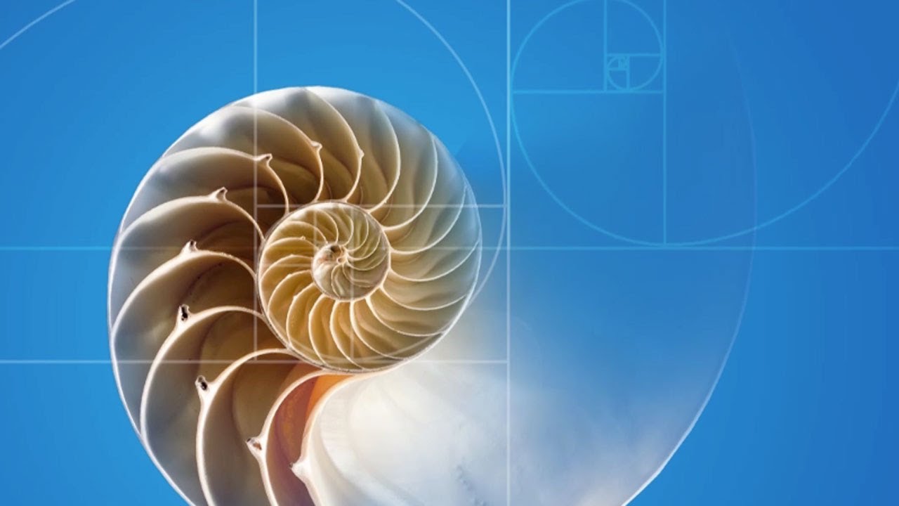 Aalto University: Enchanting mathematics (Chinese subtitles) - YouTube