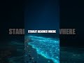Raja Ampat Revealed A Hidden Coral Cathedral