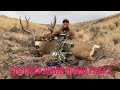 HUNTING PUBLIC LAND MULE DEER WITH A BOW PART 2 BIG BUCK DOWN!