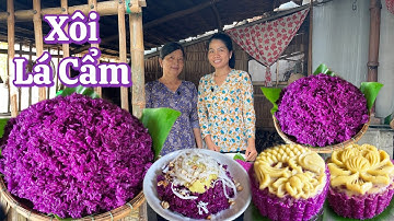 Cách nấu XÔI LÁ CẨM lên màu chuẩn đẹp bắt mắt kết hợp nhân đậu xanh vô cùng đơn giản